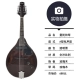 Nhạc cụ mandolin quốc gia, guitar Tây Tạng, mandolin tám dây, zamu gỗ rắn, mandala cắm điện - Nhạc cụ phương Tây