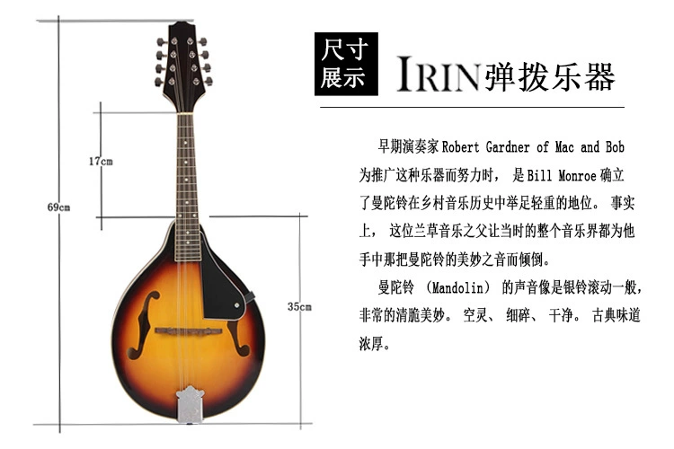 Tây Tạng guitar mandolin nhạc cụ quốc gia tám dây đàn mandolin piano mandolin Zhamu Nie nhạc cụ phương Tây - Nhạc cụ dân tộc