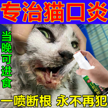 Special medicine for cat stomatitis red and swollen gums stones angular stomatitis drooling oral ulcers cat oral spray