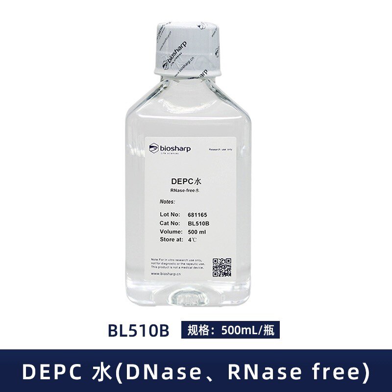 Biosharp BL510A DEPC水 DNase RNase free水 RNA逆转录siRNA退火