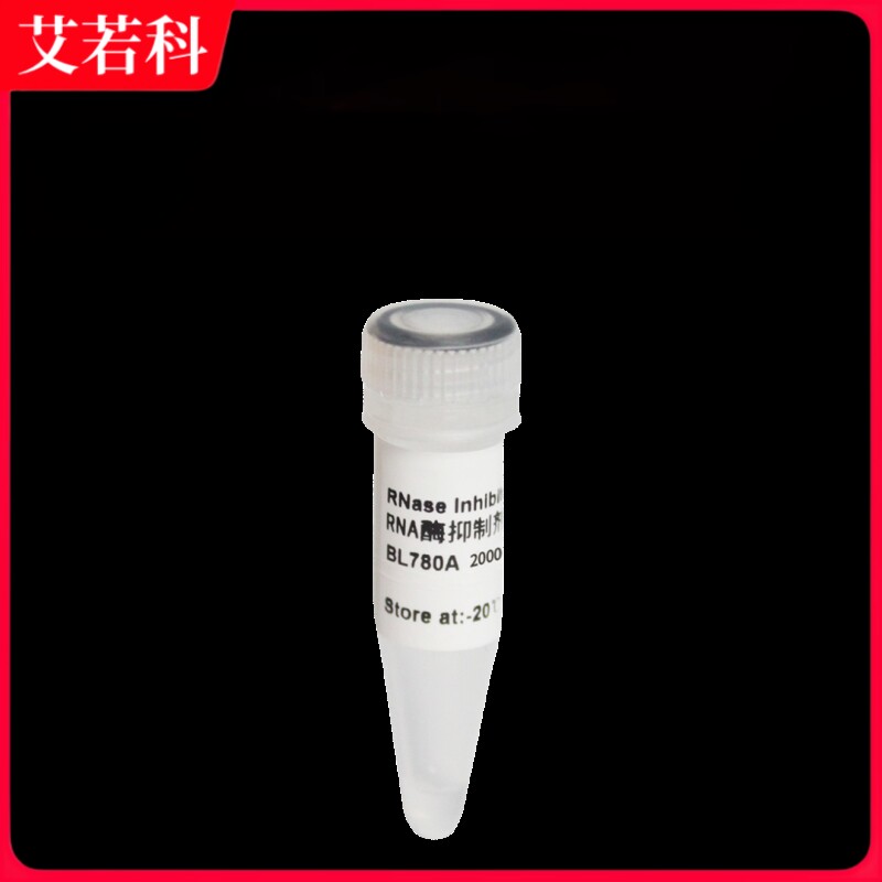 Biosharp 货号：BL780A RNA酶抑制剂