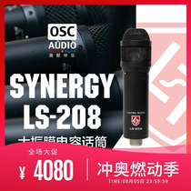 Lauten Audio LS-208 Large Diaphragm Condenser Microphone