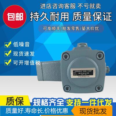 Японский масляный насос VDR-11B-1A2-1A2-U-13 Двухлопастной насос Fujitsu