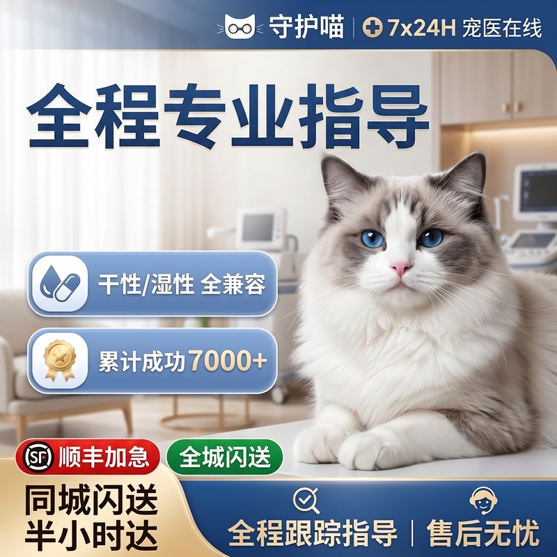Cat Dry and Wet Oil and Liquid Supplements for Oral Administration, Dry and Wet Large-Belly Nutritional Solution  Free Shipping