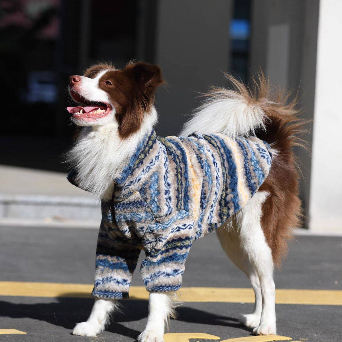 犬服、大型犬種ボーダーコリーゴールデンレトリバー用ラムフリースコート、秋と冬用の暖かいジッパー付きペット用冬服。