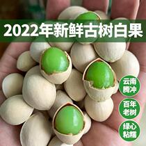 White Fruits Fresh Gingko Fruits 2022 New Goods Yunnan TenChong Gingko Village Ancient Trees Old Varieties Sticky Glutinous 500g