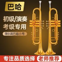 Bach American trumpet instrument LR180GS72 one-piece manufacturing gold-plated professional playing silver well imported