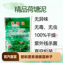 Lotus pond mud bowl lotus water lily special pond mud lotus mud silt river mud aquatic plant nutrition soil medium soil