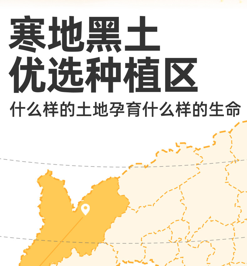 安享好物 安享S级大黄米-九月的诗有机大黄米 国标 