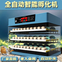 Incubators Small Home Hatching Machine Fully Automatic Smart Eggs Bird Duck Goose Parrot Mini Chick Hatchery