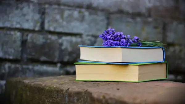 淘宝店铺转化率提升技巧：中小卖家详情页优化实战课程