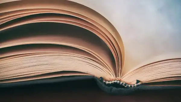 直通车是如何带动自然搜索流量的？