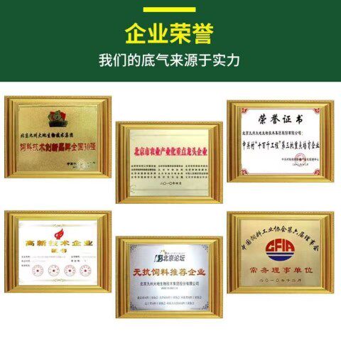正大牧业养殖合作社的LOGO