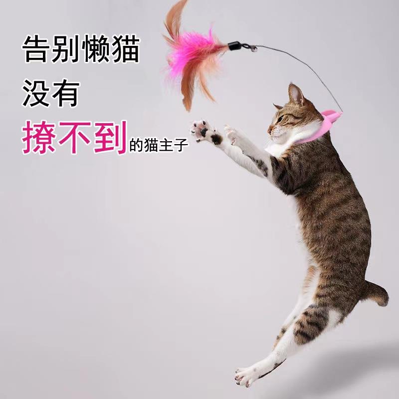 Teasing the cat's kitty toy Item Circle Self-Hi-Resistant Biting Into Young Cat Versatile Universal Adjustable Feather Toys-Taobao