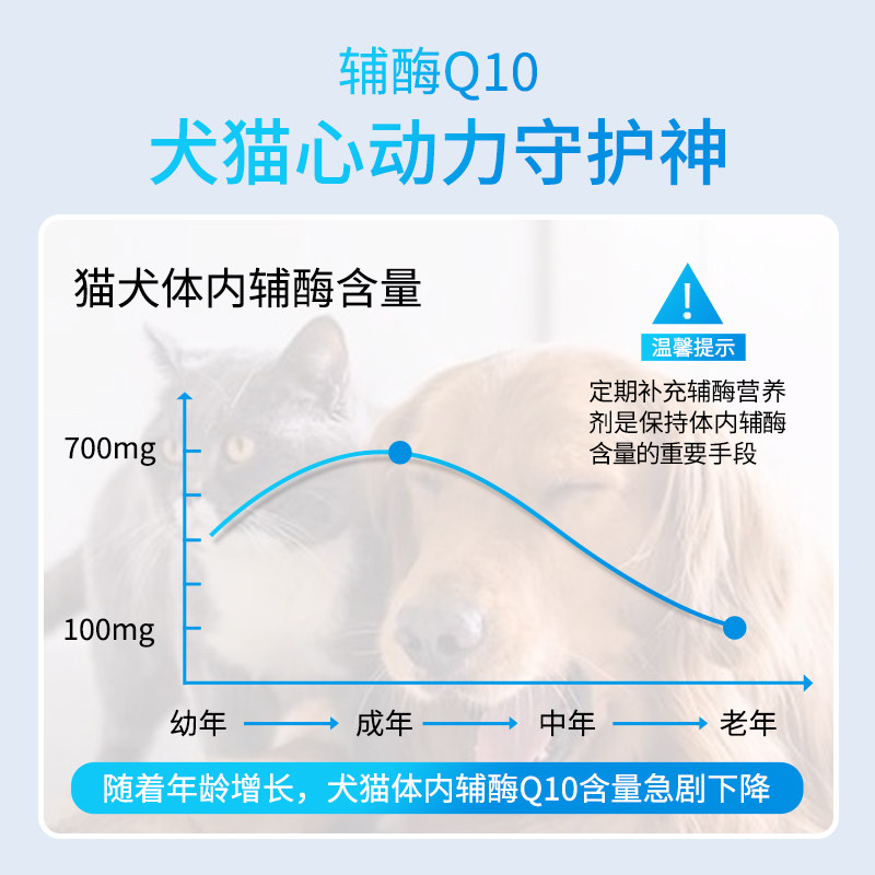 Padino Coenzyme Q10 for Cats and Dogs, Specially Designed for Pets to Protect Heart Health, Myocardial Hypertrophy, and Nutritional Tablets