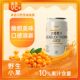Fresh Sea Buckthorn Juice Drink, Whole Box 310ml*24 Cans, Vc Fresh Fruit Juice, Specialty from the Ganzi Plateau