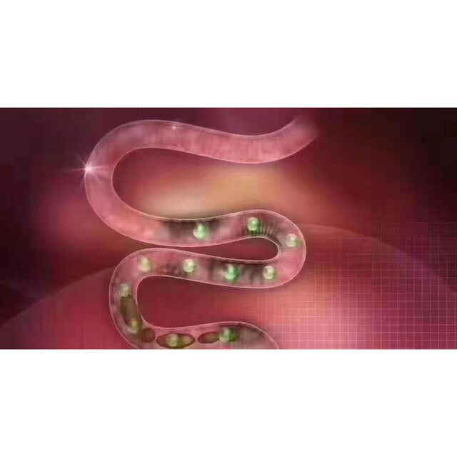 [2 Bags]Japanese White Kidney Bean Detox Supplement with Plant Enzymes and Probiotics - the Ultimate Tool for Bowel Health