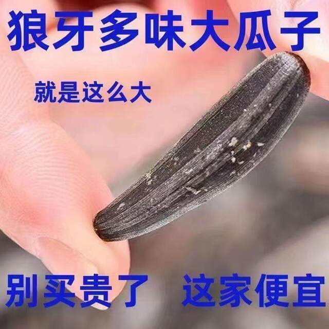 Authentic Xinjiang Specialty Black Beauty Wolf Tooth Sunflower Seeds, Freshly Roasted Sunflower Seeds, Original Flavor Five-Spice Snacks