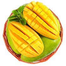 Vietnam extra large green mango 9 pounds fresh fruit green skin mango seasonal tropical pure sweet golden mango whole box
