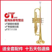 Xinghai trumpet JYTR-2000G trumpet instrument professional performance grade children and adults B flat trumpet