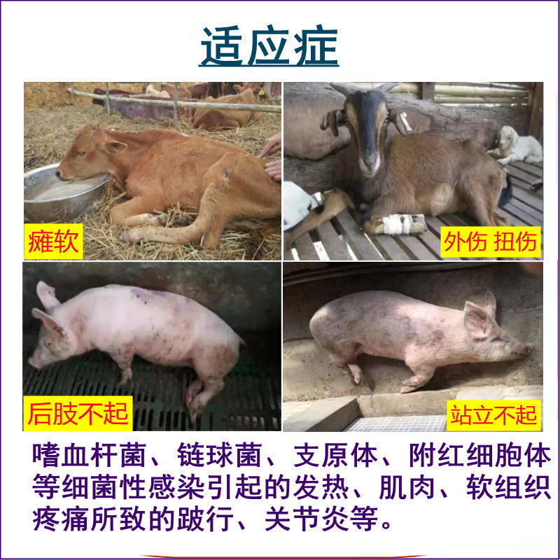 牛羊链独肿跛宁：解决牛羊腿瘸难题，让它们健步如飞💪!-鸟禽类医疗用品-淘宝百科网