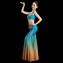 Starbrow Dai Ethnic Clothing Womens Dai Ethnic Dance Costume Yunnan South Premiere Less Dance Solo Dance Craft Exam for Fish Tail Skirt Yunnan