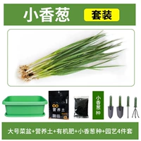 [Маленький зеленый лук] зеленый бассейн+10L Пищевая почва+удобрения+четырехэтажный набор