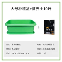 Овощное растение бассейн [зеленый большой]+10L Nutrition Earth