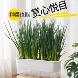 Специальный горшок для выращивания лука, артефакт для выращивания овощей, ящик для ленивой посадки овощей на крыше семейного балкона, самопоглощающийся прямоугольный цветочный горшок