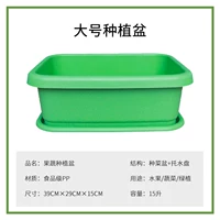 Растительное растение бассейн [зеленый большой]