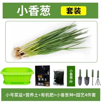[Маленький зеленый лук] зеленый горшок+10L питательная почва+удобрения+четырехэтапный набор