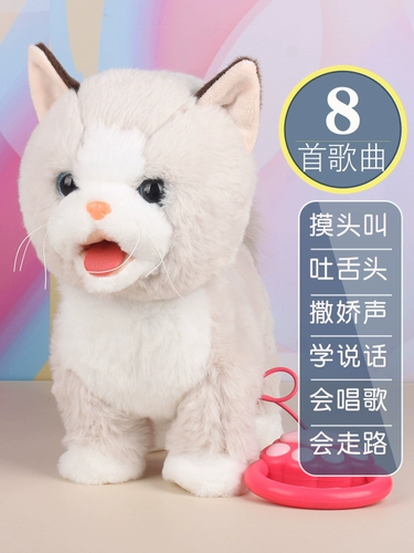 Прикоснитесь к головному мяу, чтобы позвонить котенку, чтобы научиться ходить и ходить