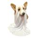 Corgi dog clothes Halloween cosplay ghost costume small and medium-sized pet dog cloak hood transformation costume
