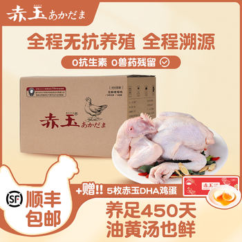 Japanese akadama anti-butter old hen grain-raised full-age hormone-free animal residue fresh chicken soup whole chicken