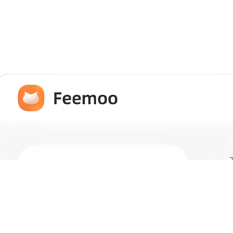 Feemoo Feimao Disk High-Speed Download for Mobile Phones and Computers