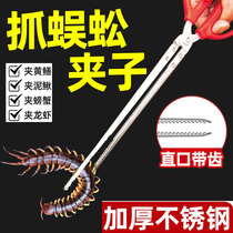 Centipede clamp catch centipede loach Divine Instrumental Tweezers Tool Wild Catch Centipedes Fire Pliers Catch-up Tools