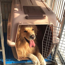 hoopet pet dog dog aviation box portable gold maha chisza morabrado pet consignment box transport