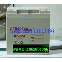 FIAMM extraordinary battery 12V24AH 12SP24 valve-regulated lead-acid maintenance-free battery pack