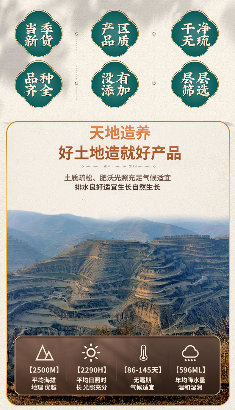 Prepared Rehmannia Root Shu Di Huang Dried TCM Herb Slices with Four-Substance Combo 535g Total quality and texture