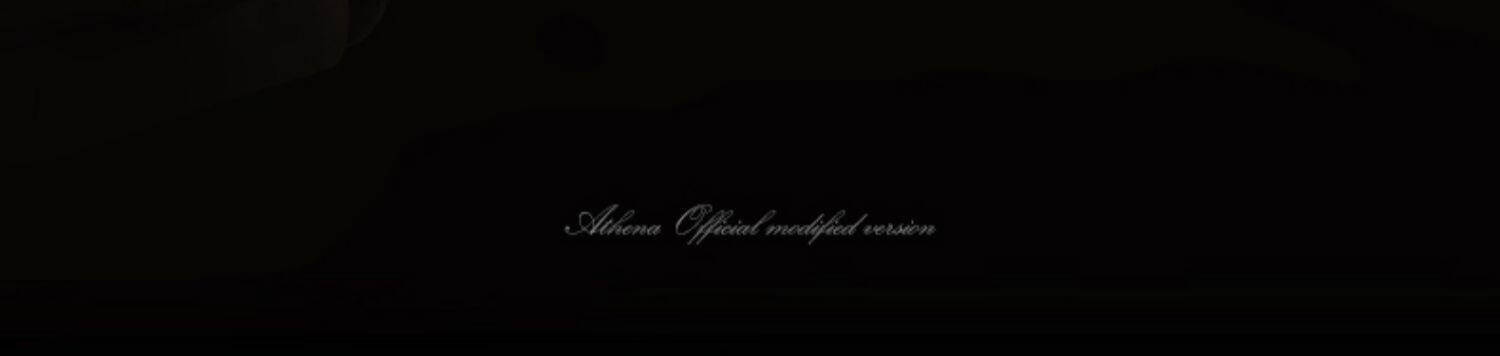 纺车轮TOMA/KOMAI(图13)