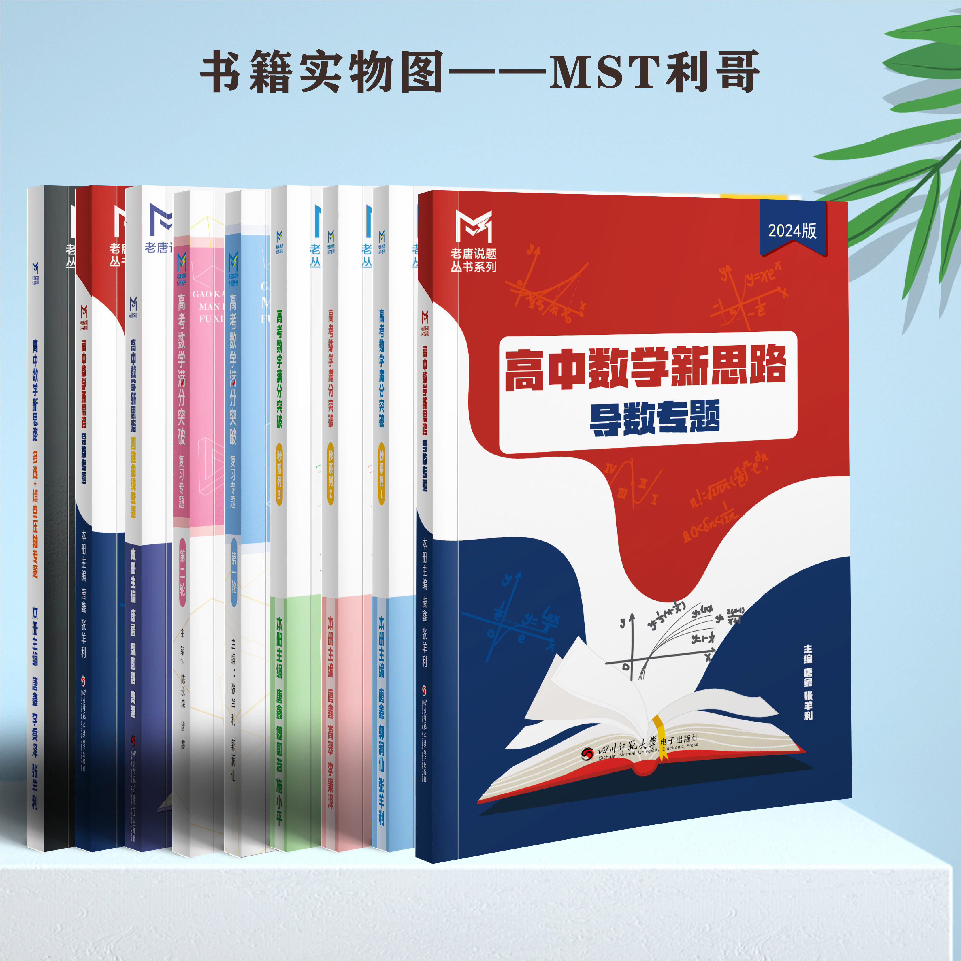 MST数学总部正版企业店