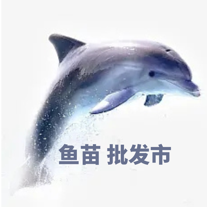 鱼苗批发养殖场