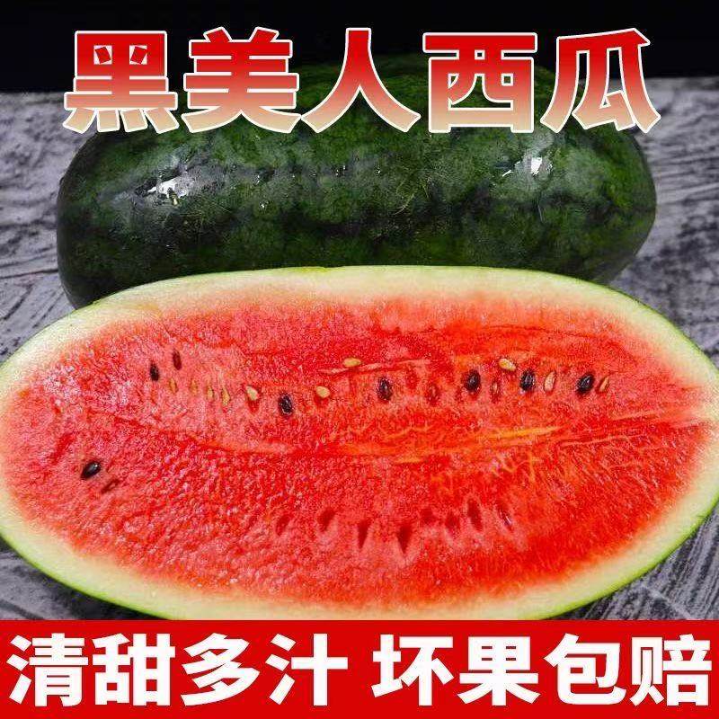 2025吃黑美人西瓜，如何挑选正宗应季好瓜？