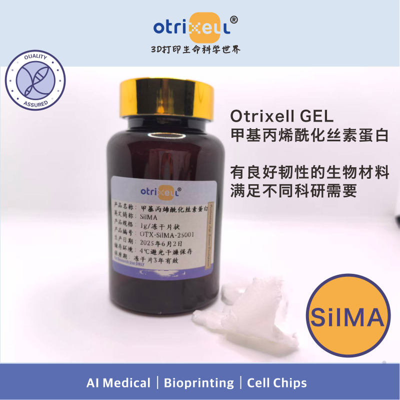 Silma Methylacrylated Silk Protein Hydrogel Can Be Used for Light-Curing 3D Printing of Organ Culture