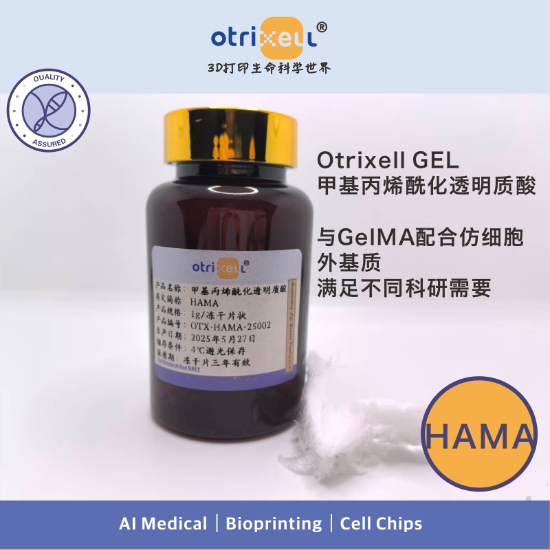 HAMA甲基丙烯酰化透明质酸3D打印水凝胶可用于类器官培养
