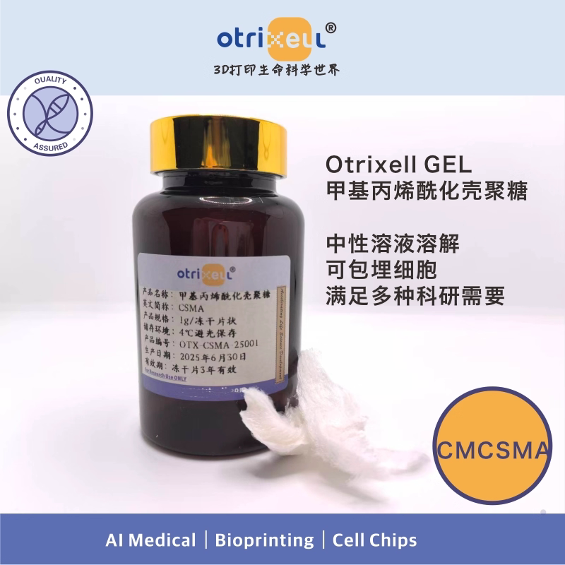 Csma Methylacrylated Chitosan Hydrogel Can Be Used for Light-Curing 3D Printing and Organoid Culture
