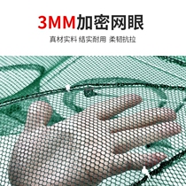 Ground net cage catches large fish net large umbrella cage cage cage cage night light shrimp cage cage fish