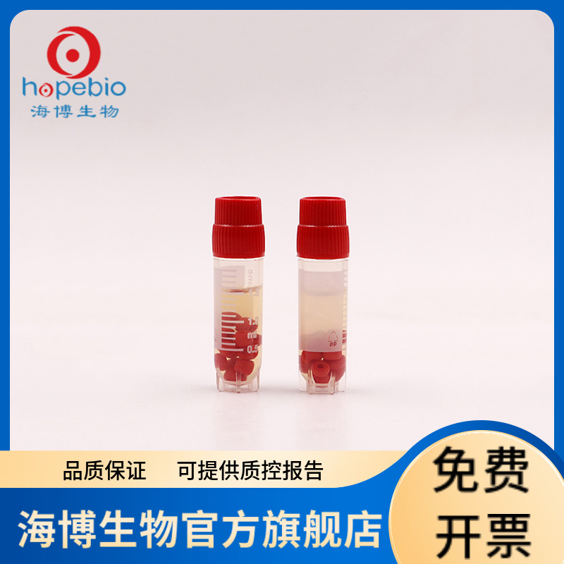 瓷珠菌种保存管（50支）HBPT001-1   50支/盒  菌种保存 青岛海博生物