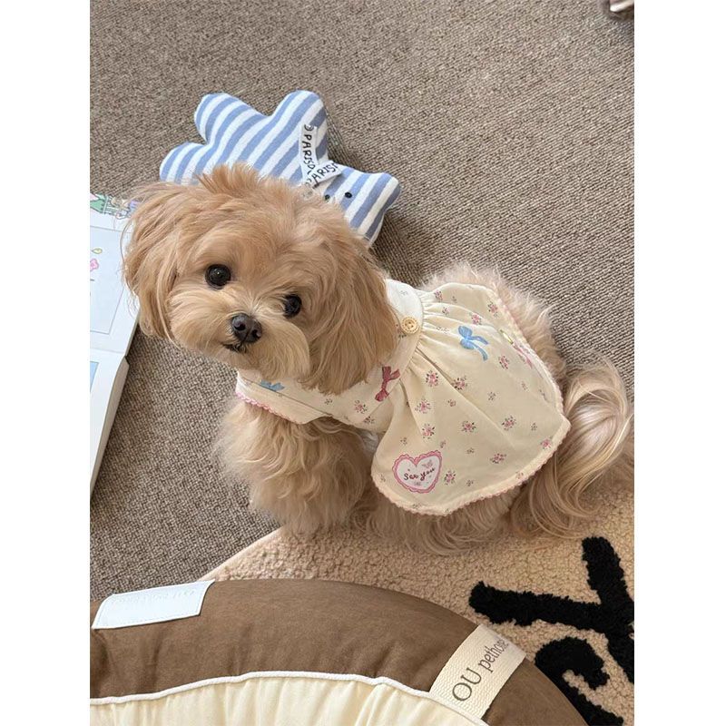 Spring and Summer New Cute Floral Dress for Dogs, Suitable for Small Dogs, Princess Style, Fashionable Maltese Teddy