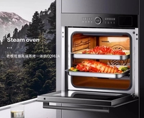 Robam Electric Steam and Grill All-in-one Machine CQ982A